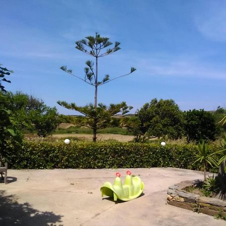 Il Canneto Villa Sassari Exteriör bild